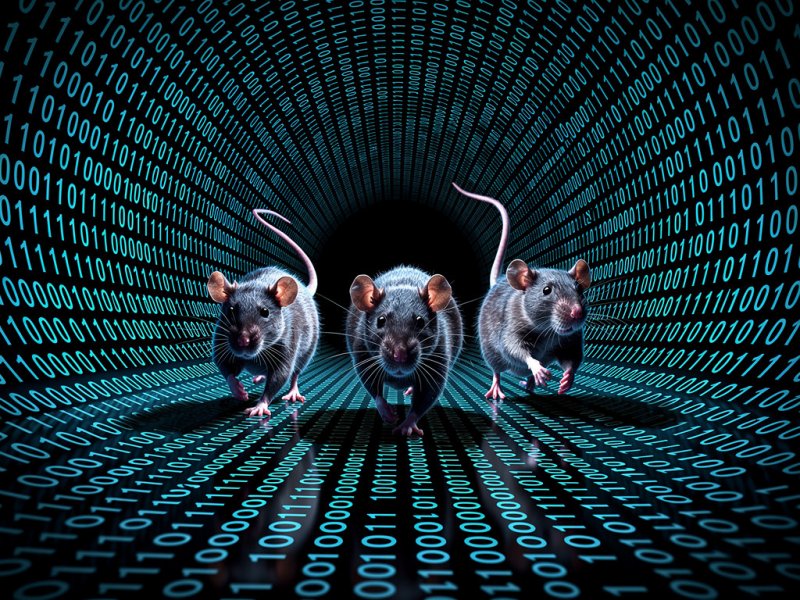 WebRAT je klasický social-engineering + technický malvér mix 